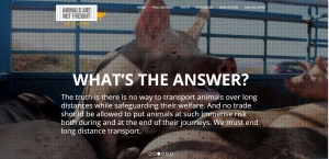 animals are not freight conservative animal welfare foundation
