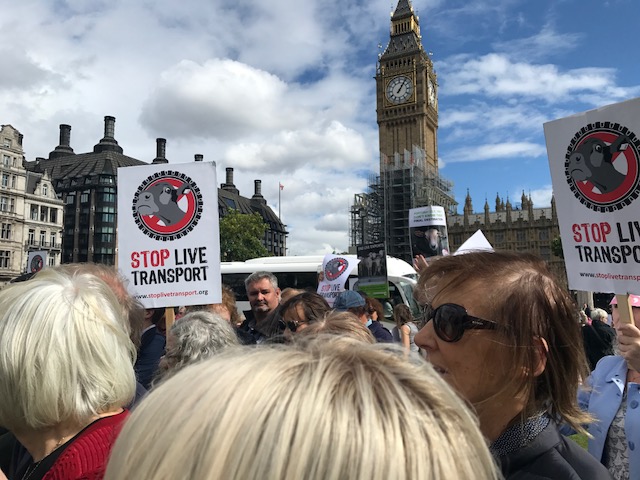 end live exports conservative animal welfare foundation