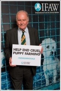 Sir-Roger-Gale-Conservative-Animal-Welfare-Foundation-Patron-at-IFAW-pups-202x300 (2)