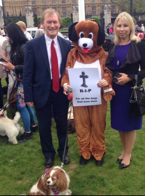 david amess conservative animl welfare foundation ban puppy farms