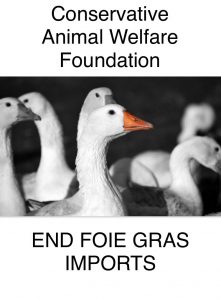 foie gras cawf