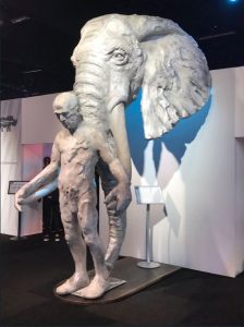 iwt conference pic of elephant statue
