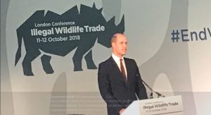 prince william iwt