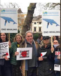 whaling pic group conservative animal welfare foundation no whaling march