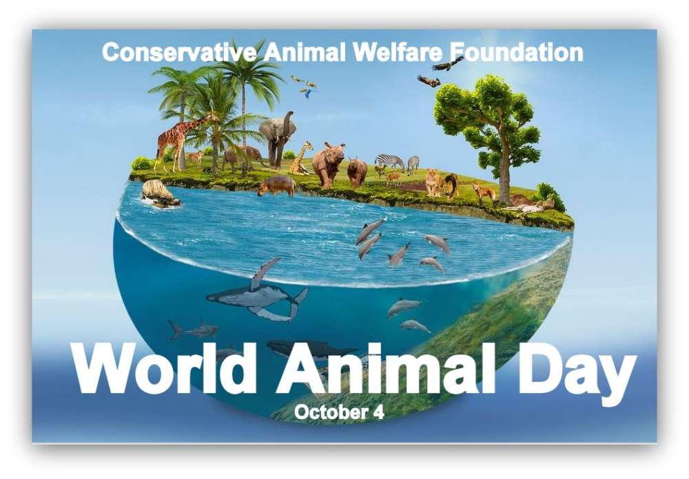 World Animal Day - Conservative Animal Welfare Foundation