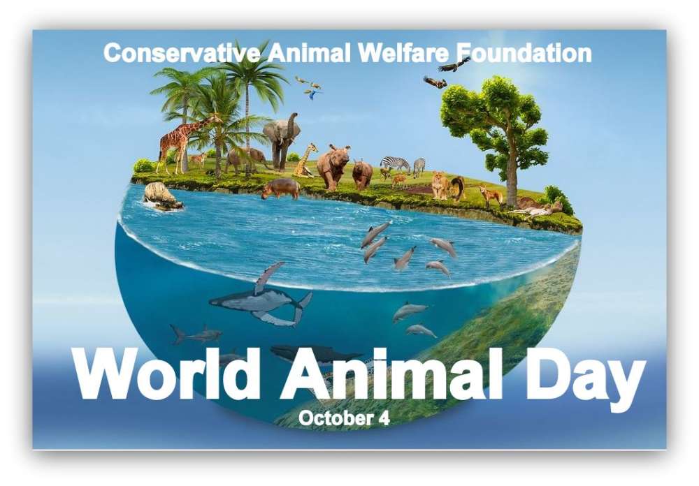 animal-planet-snip-with-water-world-world-animal-day-cawf.jpg