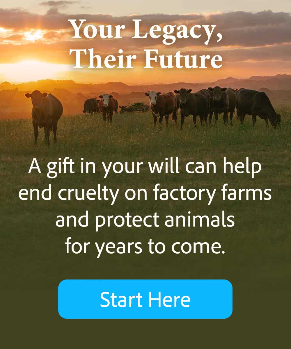 Your Legacy, Their Future