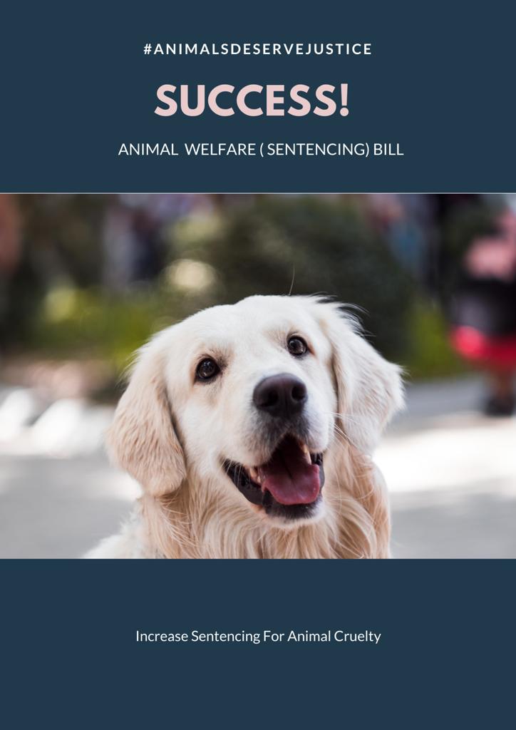 Animal Welfare (Sentencing) Bill receives Royal Assent from Her Majesty the  Queen - Conservative Animal Welfare Foundation