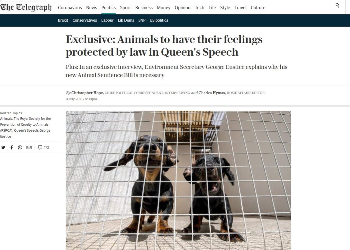 The Daily Telegraph: Animal Sentience to be Enshrined in UK Law | CAWF