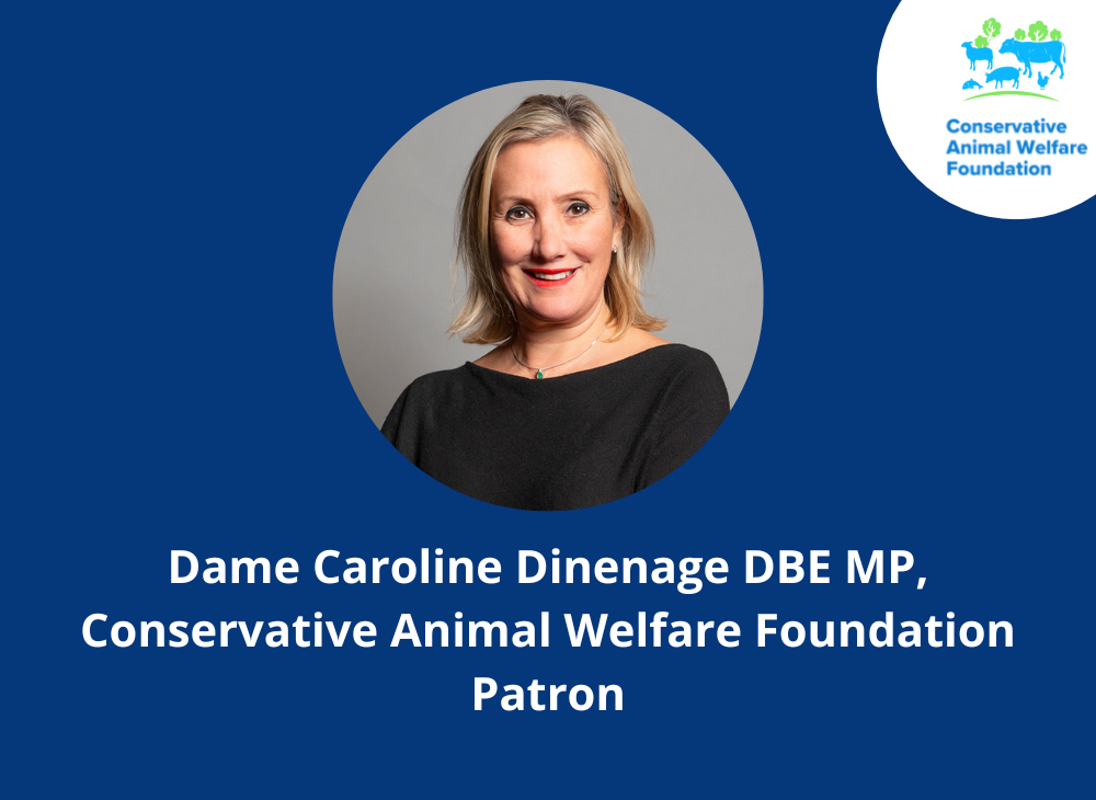 Dame Caroline Dinenage DBE MP joins Conservative Animal Welfare Foundation as a Patron