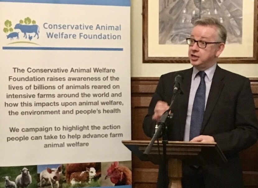 Rt Hon. Michael Gove MP joins CAWF as a Patron