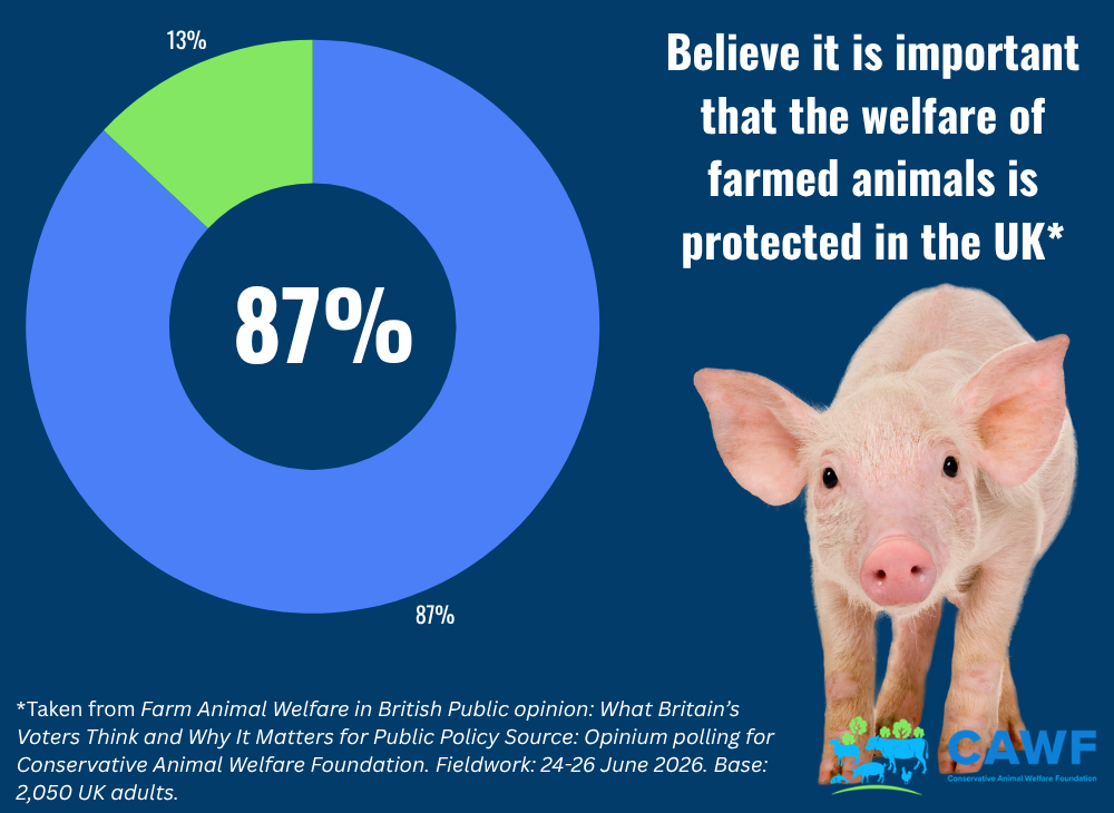 Donut chart showing that 87% of UK adults believe protecting the welfare of farmed animals is important.